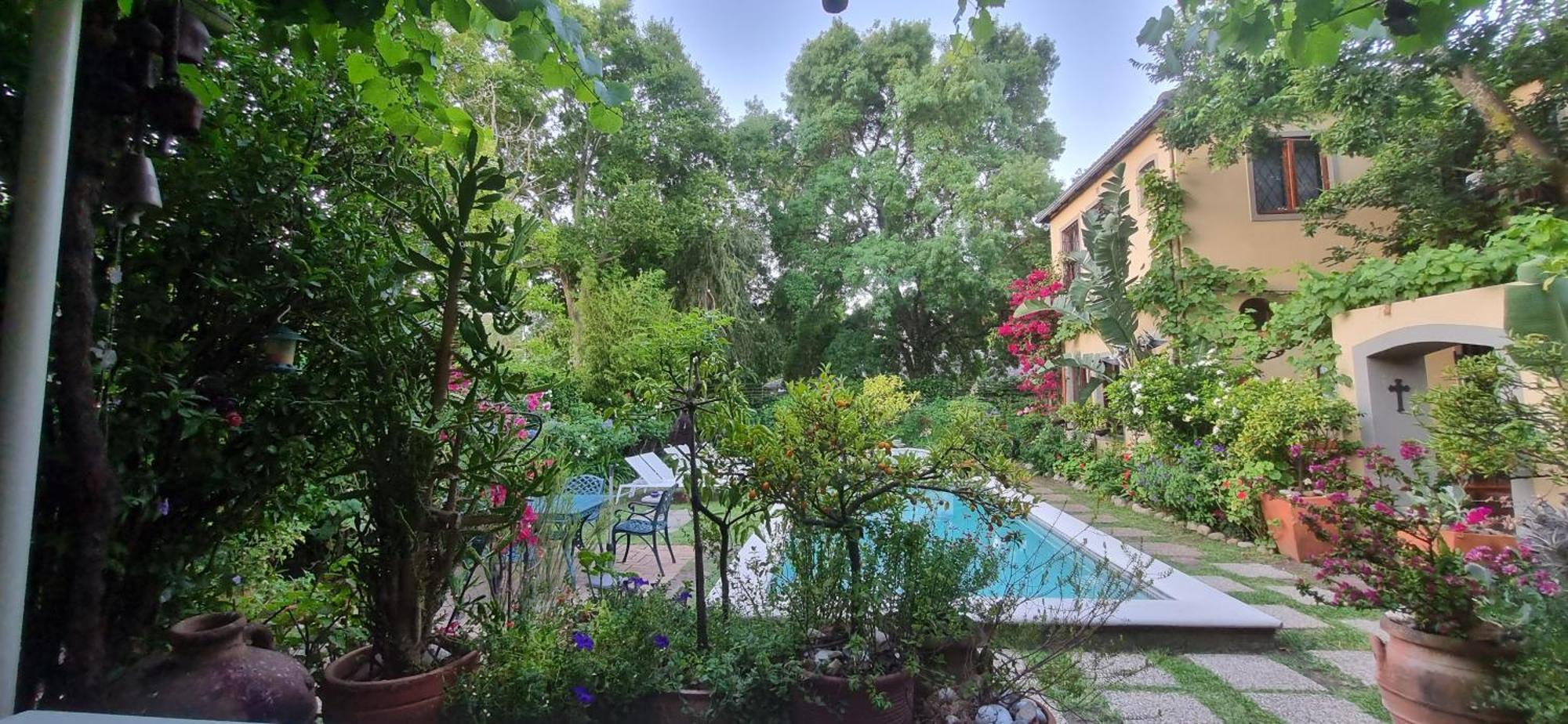 10 Alexander B&B Stellenbosch Exterior photo